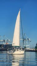 Sailboat tour/ Yacht charter in Port of LA (San Pedro County)