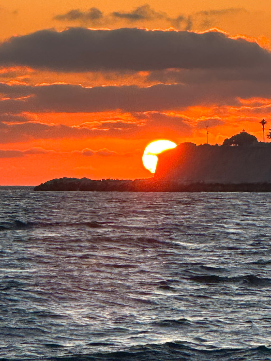 Sailboat tour/yacht charter in Port of LA (San Pedro County)